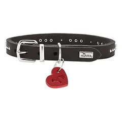 HUNTER Hundehalsband Aalborg Hearts