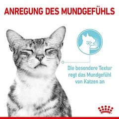 Royal Canin Sensory Feel padaže, drėgnas maistas katėms — 3 nuotrauka