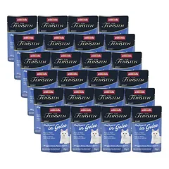 ANIMONDA Vom Feinsten Raffinesse vištiena su lašiša želė 24x85 g