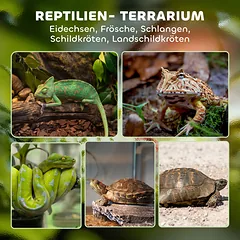Terariumas 50 x 30 x 25 cm — 4 nuotrauka