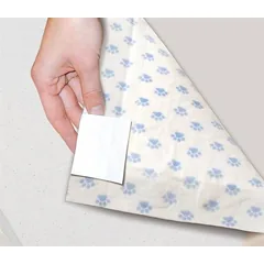 Record AssorbiPiu Odour Control higieniniai paklotukai šunims su aktyvuota anglimi, 60×60 cm, 10 vnt. — 3 nuotrauka