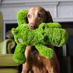 KONG Cozie Ali Alligator XL patvarus pliušinis žaislas šunims 40cm — 3 nuotrauka