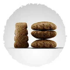 Josera Sensiplus sausas maistas šunims 3 kg — 2 nuotrauka