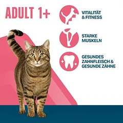 Perfect Fit Active 1+ su jautiena, sausas maistas katėms — 2 nuotrauka