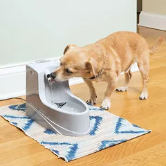 PetSafe Drinkwell Pet Fontanas 1.2L - fontanas katėms ir mažiems šunims, Mini — 2 nuotrauka