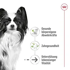 Royal Canin X-Small Adult 8+ sausas maistas šunims, 3 kg — 3 nuotrauka