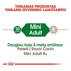 ROYAL CANIN SHN Mini adult sausas maistas suaugusiems šunims 2 kg — 2 nuotrauka