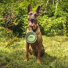 Sulankstomas kelioninis dubenėlis šunims ir katėms Ragi, silikoninis, 1 l — 5 nuotrauka