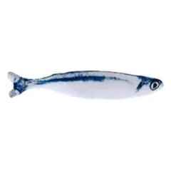 TIAKI Katzenspielzeug Sardine mit Katzenminze