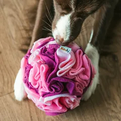 Hauki uostymo kamuolys šunims | 15 cm dydis | Aqua raštas — 4 nuotrauka