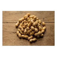 Futterbauer 10 kg  Erdnusskerne IN DER SCHALE