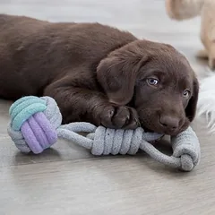 Trixie Junior mazgo kamuoliukas ant virvės, Labai mažiems < 4 kg — 3 nuotrauka