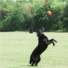 Chuckit! Rope Fetch virvė, žaislas šunims, Dideliems 26–45 kg — 3 nuotrauka