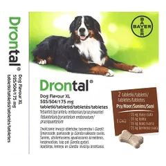 Drontal Dog Flavour XL tabletės nuo kirminų dideliems šunims