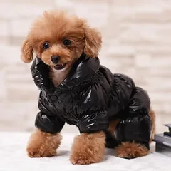 PAW COUTURE gyvūnų augintinių kombinezonas, juodas, juodas, L dydis — 4 nuotrauka