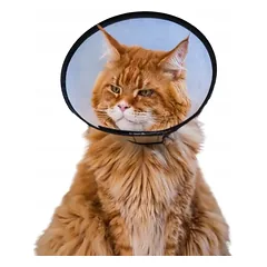 TRIXIE apsauginė veterinarinė pooperacinė apykaklė šunims ir katėms XS