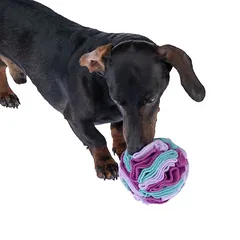 zooplus Basics žaislas šunims, uostinėjimo kamuoliukas, Mažiems 5–10 kg — 4 nuotrauka