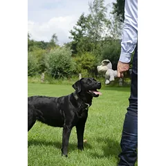 COUNTRY DOG Buddy medžiaginis žaislas šunims, 35x18 cm, pilkas — 2 nuotrauka