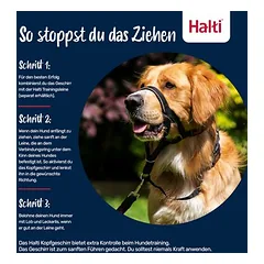 Halti galvos kamanos šunims, juodos, Dydis 3: dobermanas, labradoras, seteris — 5 nuotrauka