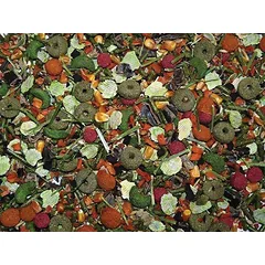 Avicentra Visavertis maistas degu – deluxe for osman 500 gr – maistas degu pelėms — 2 nuotrauka