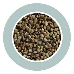 Canapuccia Small Hampseed kanapių sėklos 850 g — 2 nuotrauka