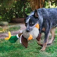 Kong Shakers Honkers Duck L patvarus žaislas 43cm — 3 nuotrauka
