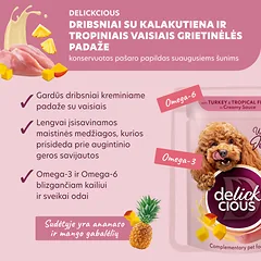 DELICKCIOUS konservuotas pašaras su kalakutiena ir trop. vaisiais suaugusiems šunims, 80 g — 2 nuotrauka
