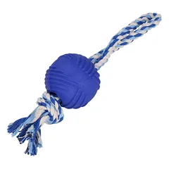 Šuns žaislas 25 cm — 1 nuotrauka
