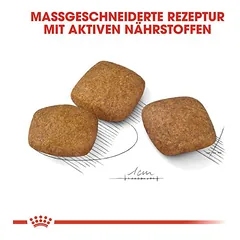 Royal Canin Relax Care Maxi sausas maistas šunims — 5 nuotrauka