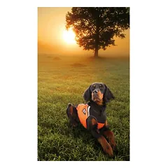 Non-stop dogwear medžioklinė liemenė šunims Hunting Cover
