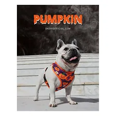 Dashi Pumpkin Neo Mesh petnešos - nepatraukiamos, dvipusės šuns petnešos su Helovino moliūgų raštu, XL — 2 nuotrauka