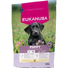 EUKANUBA Puppy Large Breeds Chicken 800 g sausa maistas didelių veislių šuniukams, turintis šviežio vištienos