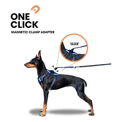 OURDOGSLIFE magnetinės šunų petnešos + 2 m pavadėlis (komplektas), M, mėlyna