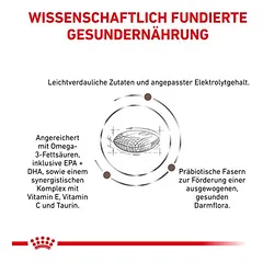 Royal Canin Veterinary Feline Gastrointestinal Hairball sausas maistas katėms, 3 - 4,9 kg — 4 nuotrauka