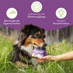Wolfsbacher Natur ramybės ir atsipalaidavimo skanėstai, 300 g — 2 nuotrauka