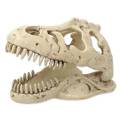 Repti Planet T-REX Skull terariumo dekoras slėptuvė, 13,3×8,5×9 cm