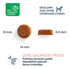 Marly & Dan sausas maistas vidutinių-didelių veislių šunims senjorams su lašiša - Senior Medium & Large Breed Salmon, 3 kg — 1 nuotrauka