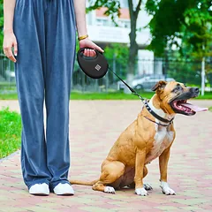 Automatinis pavadėlis šunims Waudog R-leash su maišelių dėtuve, atspindintis, dydis S iki 12 kg — 2 nuotrauka