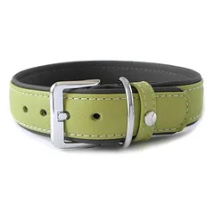 Das Lederband Hundehalsband Amsterdam lime/lava