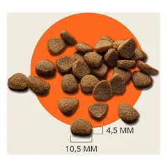 IAMS Advanced Nutrition Adult Cat su lašiša, sausas maistas katėms, 3 kg — 4 nuotrauka