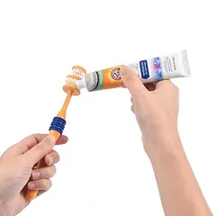 Arm & Hammer dantų priežiūros rinkinys šunims: dantų šepetėlis ir pasta, 3 dalių — 3 nuotrauka