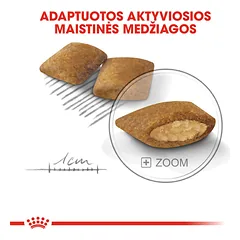 ROYAL CANIN CCN Mini exigent sausas maistas išrankiems suaugusiems šunims 1 kg — 5 nuotrauka