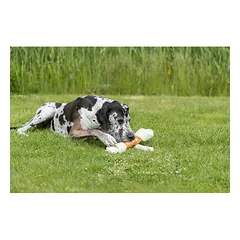 TRIXIE Denta Fun Mega vištienos kramtomasis kaulas, 40 cm, 500 g — 3 nuotrauka