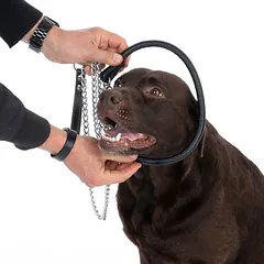 TIAKI antkaklis šunims Chain, apie 55 cm Kaklo apimtis — 2 nuotrauka