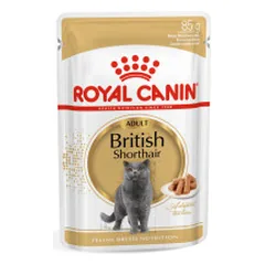 Royal Canin British Shorthair konservai katėms
