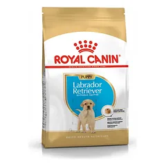 Royal Canin Labradoro retriverių veislės jaunų šunų sausas pašaras