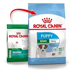 Royal Canin Mini Junior 4 kg parduotuvėje fera.lt