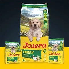 Josera Young Star begrūdis sausas pašaras jauniems šunims su paukštiena, 12,5kg