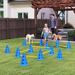 Agility rinkinys mėlyna ir geltona — 2 nuotrauka