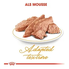 Royal Canin Persian Adult Mousse drėgnas maistas katėms — 3 nuotrauka